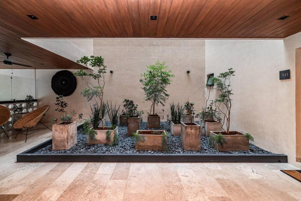 Apartamento Depto Cerca De La Quinta Avenida En Kaahal *